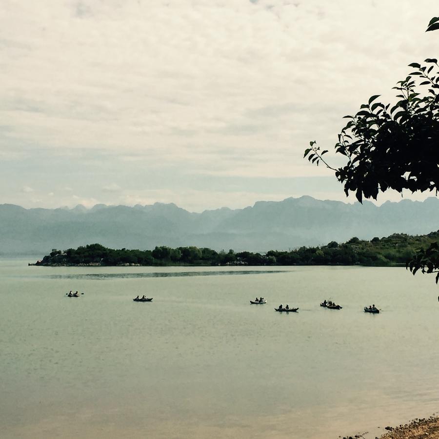 B&B Skadar Lake Murici Bar Extérieur photo